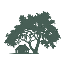 Oak tree — EKELY homestead